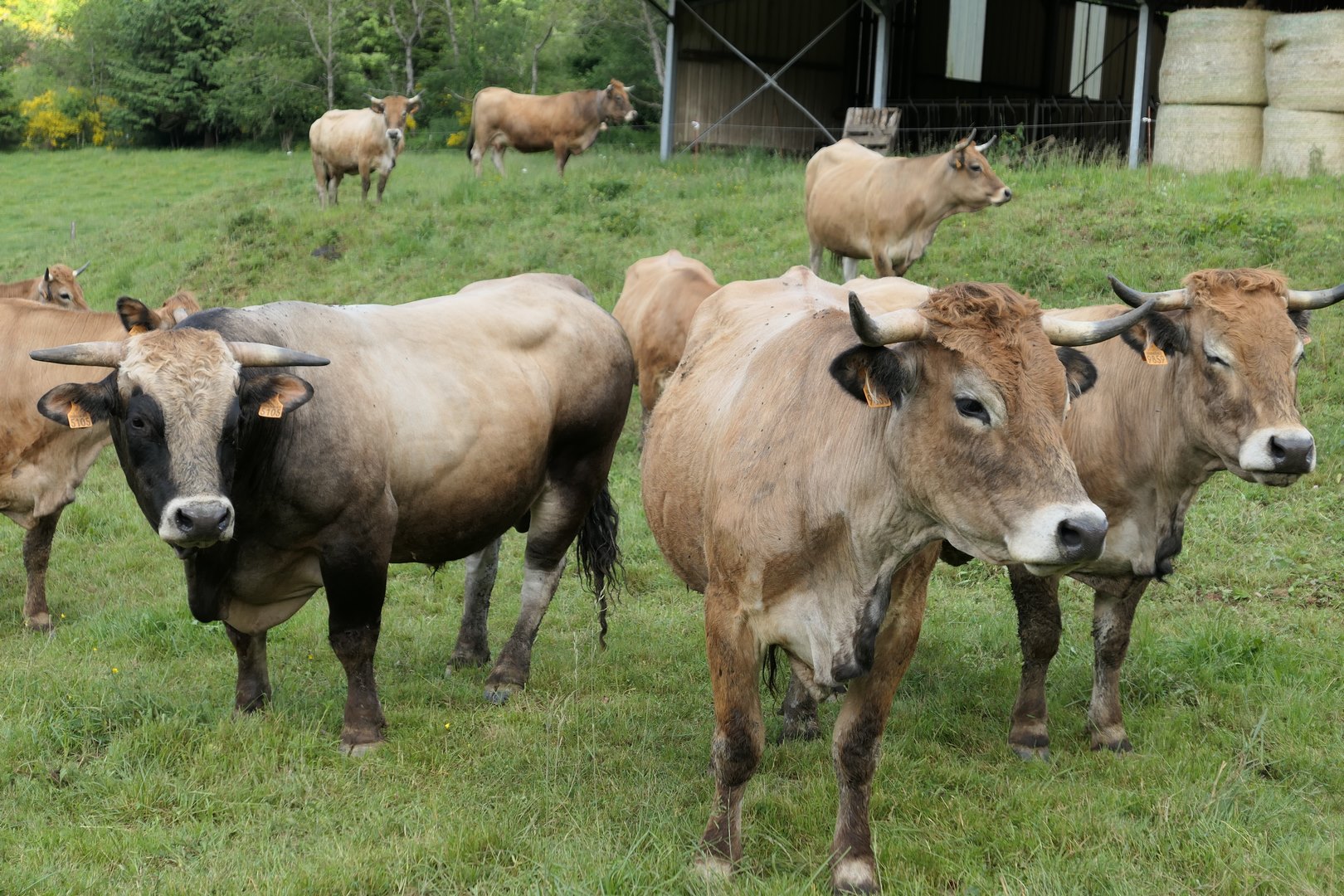 Visite d'une exploitation en Agriculture Durable