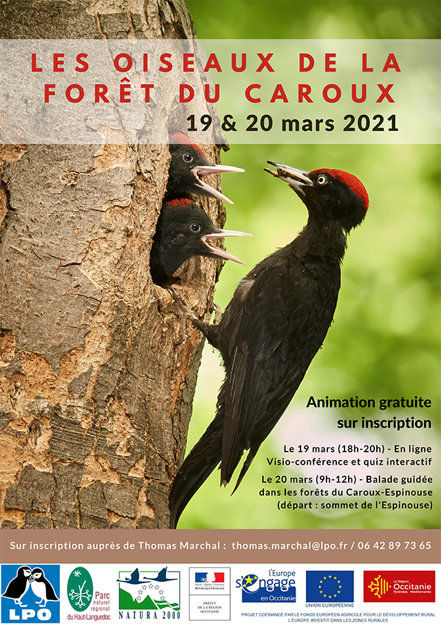 Affiche de "L'Observation de la migration des oiseaux" les 29 et 30 août 2020 à La Croix de Mounis, Castanet-le-Haut (Hérault)