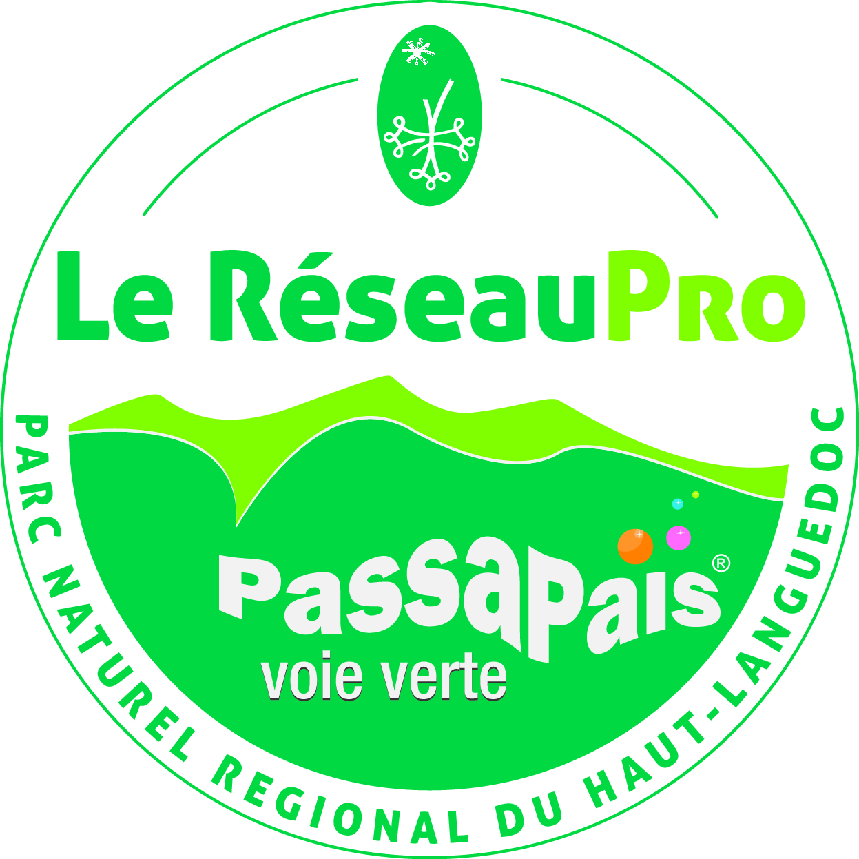 LOGO_reseau_PRO_VV.jpg