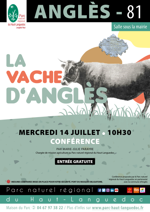 Affiche Conférence sur la Vache d'Anglès