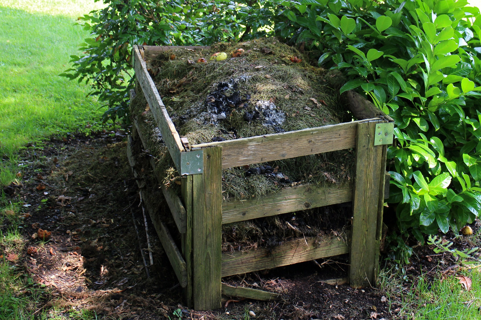 compost jardin