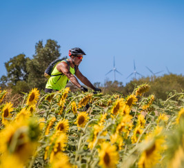 Personne à vélo dans un champ