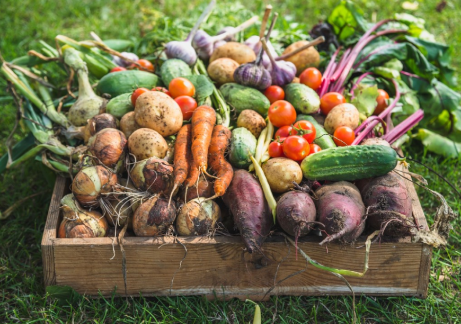 Légumes du territoire