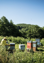 Rencontrez les producteurs Valeurs Parc